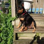 Profile Picture of Theresa McQuiston (@mccody368) on Instagram