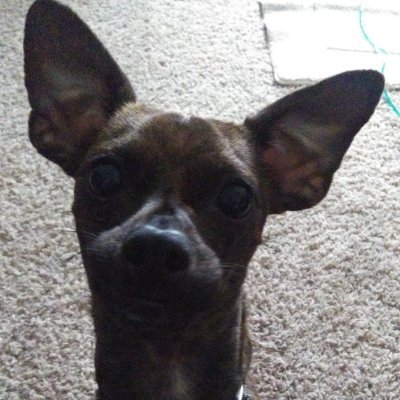 Profile Picture of Ava Pearson (@AvaPear68511159) on Twitter