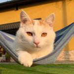 Profile Picture of ✨rudy sie nie dostał✨ (@zjem_cie_budyn) on Instagram