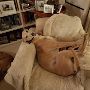 Profile Picture of Richard Marriott (@xoaam.r) on Youtube