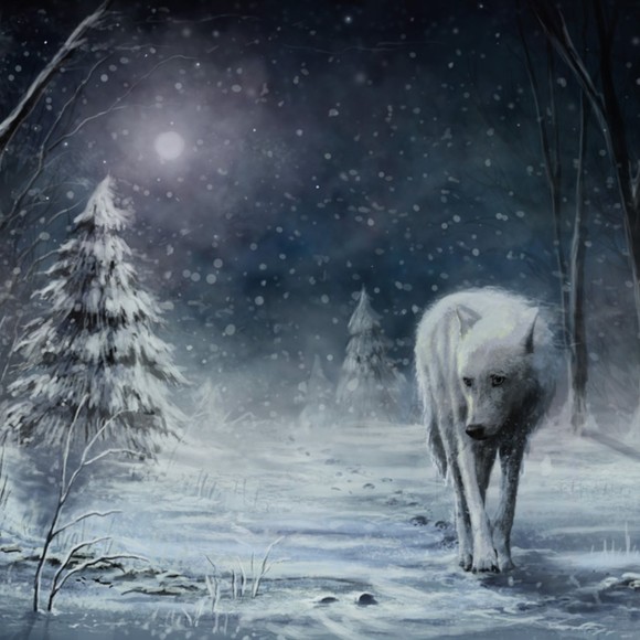 Profile Picture of Max Croft (@mdabaron) on Poshmark