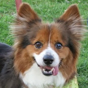 Profile Picture of Jeff Haase (@jeffhaase8912) on Youtube