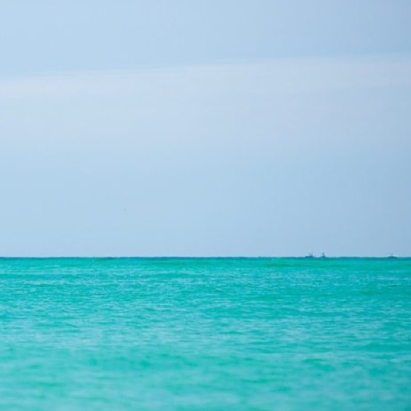 Profile Picture of Gwen Totaro (@shoopingqueen3) on Poshmark