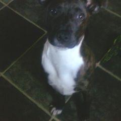 Profile Picture of Brody Neal Smith (@BrodyNealSmith) on Twitter