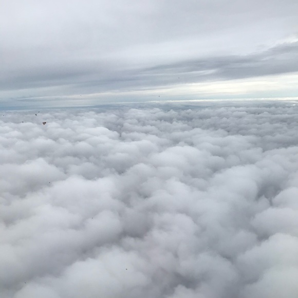 Profile Picture of Ally Vanduser (@allyvanduser) on Poshmark