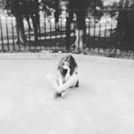 Profile Picture of yana_warnest (@yana_warnest) on Instagram