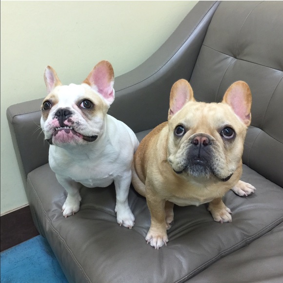 Profile Picture of Jodi Cronin (@jlcronin78) on Poshmark