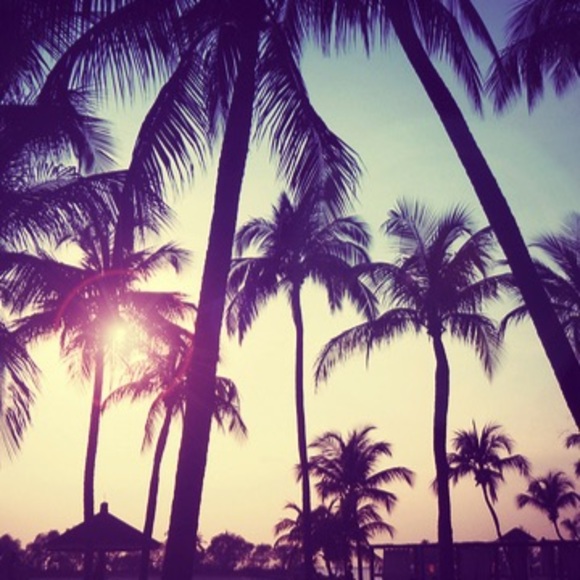 Profile Picture of Nicona Maruyama (@alojanico1125) on Poshmark