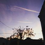 Profile Picture of Brian _Kwong(づ｡◕‿‿◕｡)づ (@maybe__brian) on Instagram