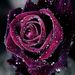 Profile Picture of Jonathan Sparkman (@Thanjonwi) on Pinterest