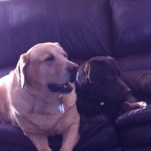 Profile Picture of Dawn Wendell (@dewccc123) on Poshmark