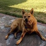 Profile Picture of Josh_Katherman (@josh_katherman) on Instagram