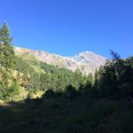 Profile Picture of Michele Gesto (@michelegesto) on Instagram