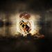Profile Picture of Daniel Olivas (@danielo3199) on Pinterest