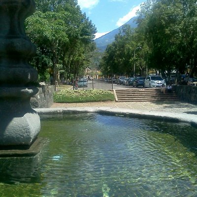 Profile Picture of Alice Portillo (@alice4portillo) on Twitter