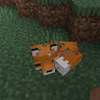Profile Picture of Seth Hamm (@seth-hamm-9) on Quora