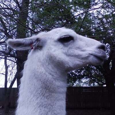 Profile Picture of Caleb Kibby (@caleb_kibby) on Twitter