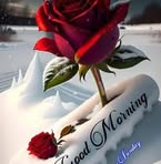 Profile Picture of Robin Dolai (@Robin-Dolai) on Facebook