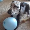 Profile Picture of Lacey Field (@@laceyfield9) on Tiktok