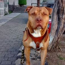 Profile Picture of G. Corona  🎮 🎧 💀 (@G_CoRonA7) on Twitter