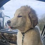 Profile Picture of James Shier (@james.shier.391) on Facebook