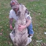Profile Picture of Leon Forrest (@leonforrest3981) on Instagram