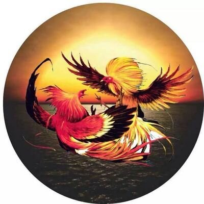 Omar Trejo - Twitter Profile Picture of Omar Trejo (@omartrejo1969) on Twitter