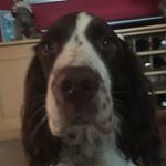 joellmoore_ - Instagram Profile Picture of joellmoore_ (@joellmoore_) on Instagram