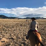 Profile Picture of David Colville (@colvilledavid) on Instagram