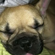 Profile Picture of Andrea Brewer (@andreabrewer) on Pinterest