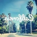 Profile Picture of Steven Burgins (@burginssteven) on Instagram