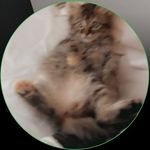 Profile Picture of Ruby Dailey (@nots0ladylike) on Instagram