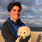 Profile Picture of Andrew Califano (@andrewcalifano) on Instagram