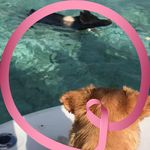 Profile Picture of Cindi Gianopoulos (@cindi_gian) on Instagram