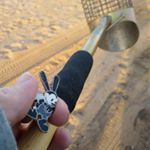 Profile Picture of Cory Kirkpatrick (@coryreview) on Instagram