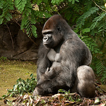 Profile Picture of Eki.iiska (@eki.iiska) on Flickr