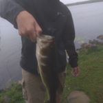 Profile Picture of louie kippley (@wisconsin_outdoors822) on Instagram