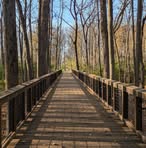 Ruth Spragg - Facebook Profile Picture of Ruth Spragg (@ruth.spragg.2025) on Facebook