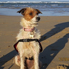 Profile Picture of Jo Watson (@jowatson2) on Flickr