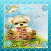 Profile Picture of Cynthia SherrillPasienza (@cynthialynnsherrillpasienza) on Facebook