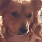 Adilene Ibarra - Facebook Profile Picture of Adilene Ibarra (@adilene.ibarra.287459) on Facebook