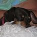 Profile Picture of Sandee Kramer (@sandeedk) on Pinterest