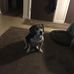 Profile Picture of Anne Heller (@anne.heller.7370) on Facebook