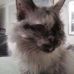 Profile Picture of Diana Dorman (@diana.dorman.75) on Facebook
