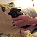Profile Picture of Charlie Howard (@chuckhoward2008) on Instagram