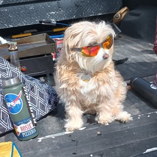 Profile Picture of Daniel Darcy (@darcyallday) on Instagram