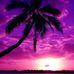 Profile Picture of Dawn Cintron (@dawn.cintron.5) on Facebook