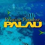 Profile Picture of 帛琉觀光局 Pristine Paradise Palau (@pristineparadisepalautw) on Instagram