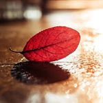 Profile Picture of Michael Kovarik (@michael.kovarik1) on Instagram