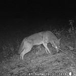 Profile Picture of Connie Macrides (@macridesconnie) on Instagram